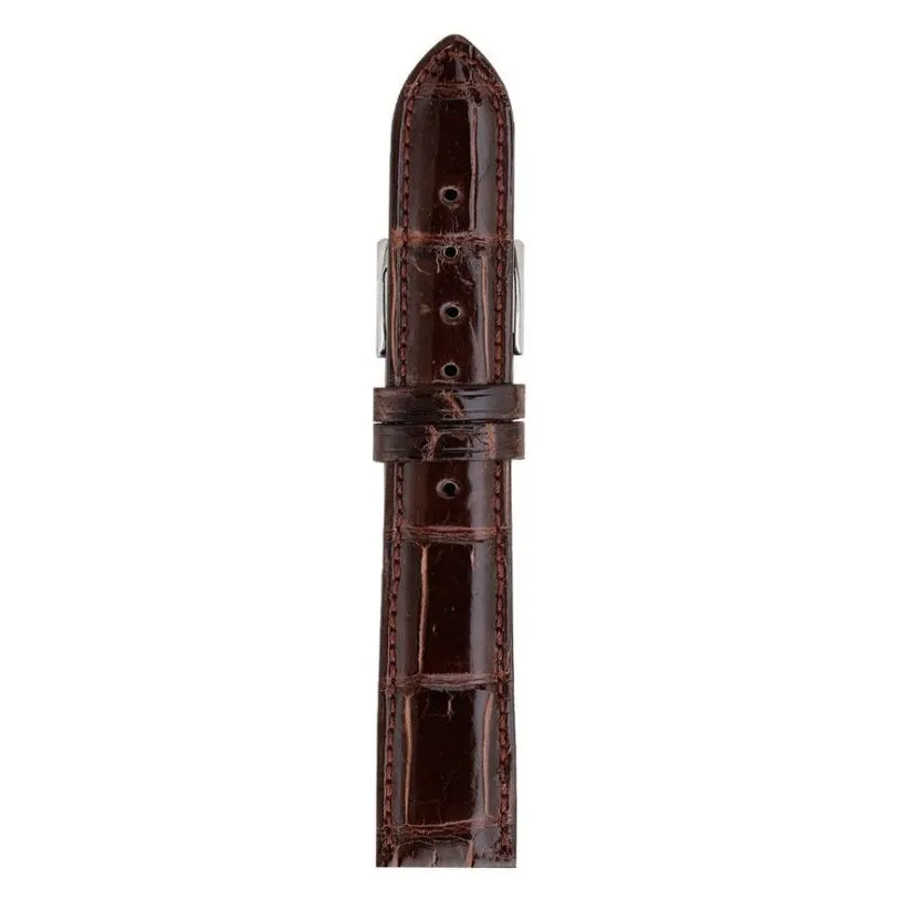 Genuine Louisiana Alligator | Polished