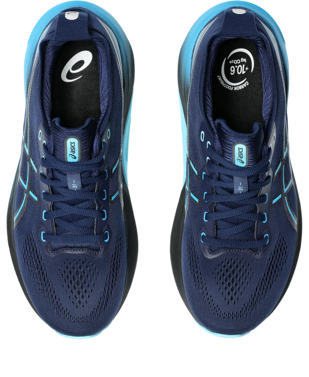 Men's GEL-Kayano 31 (401 - Blue Expanse/Digital Aqua)